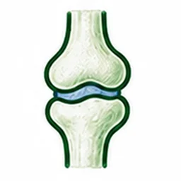 Botgezondheid