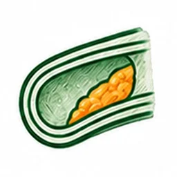 Cholesterol